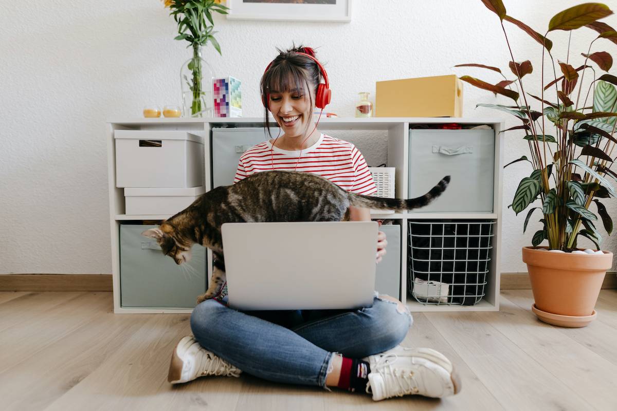 Home office cicával: így kötheted le kedvencedet, hogy ne zavarjon munka közben