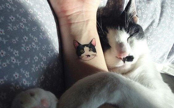A macskás tetoválás örök emlék.