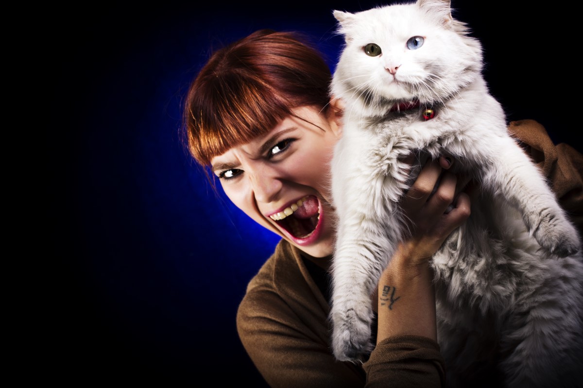 A macskás nők tényleg őrültek?